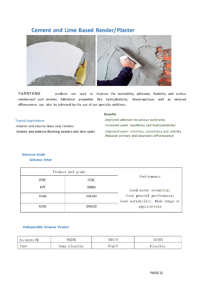 Cement and Lime Based Render/Plaster